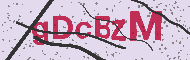 Captcha認証コード